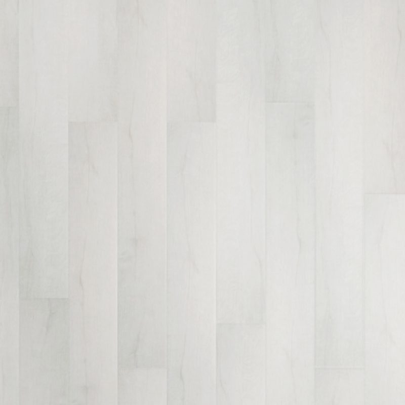 PPO2411_TopDown_Light3