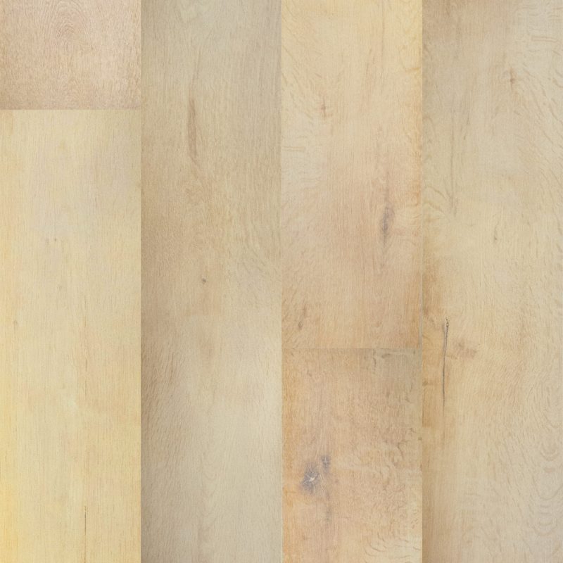 motifs