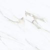 Carrara_Gold_12x24