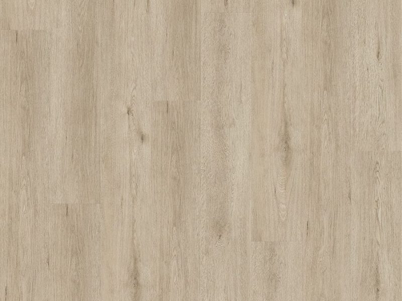 ENDURA O 6401