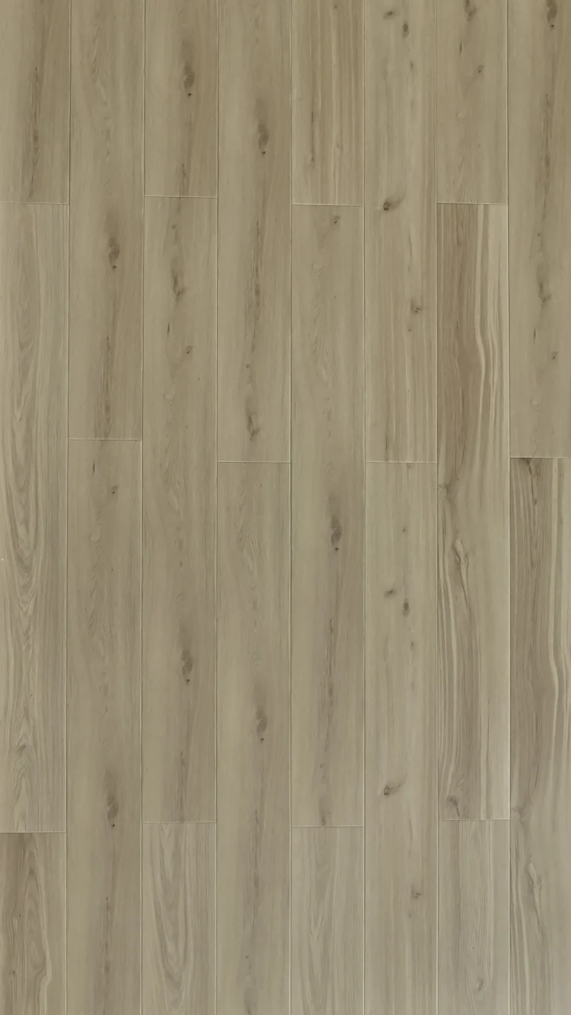 american oak